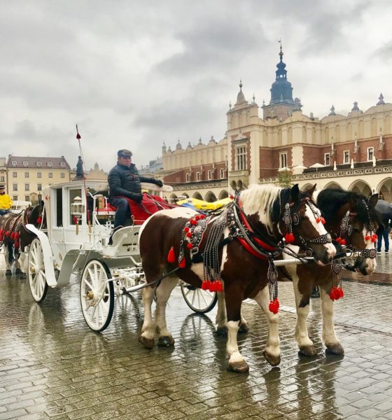 Kraków and Bratislava